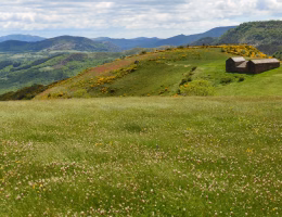 Découverte des Cévennes : un voyage nature entre gîtes ruraux et plages secrètes