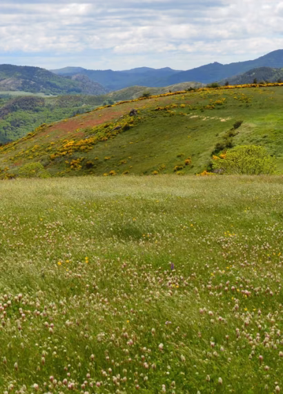 Découverte des Cévennes : un voyage nature entre gîtes ruraux et plages secrètes
