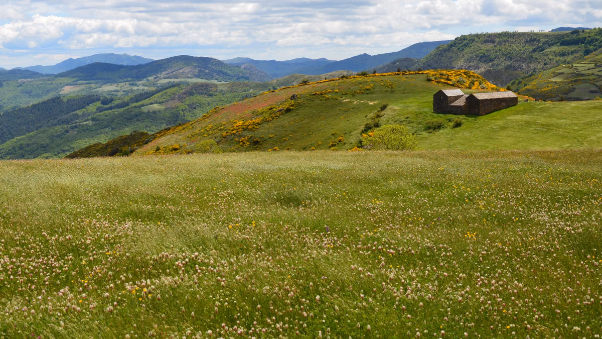 Découverte des Cévennes : un voyage nature entre gîtes ruraux et plages secrètes