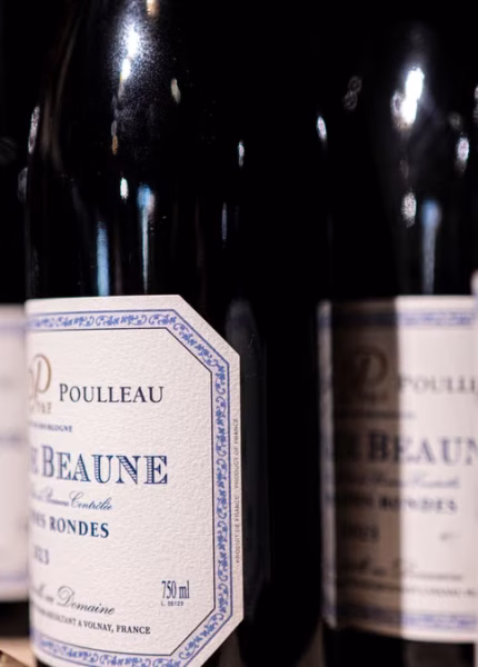 Séjours thématiques 2026 : gastronomie et culture dominent