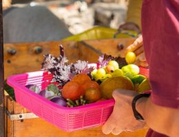 Meilleures applis marchés locaux 2026 : le guide complet