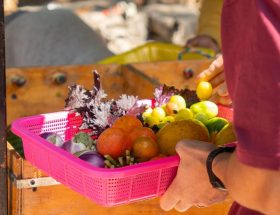 Meilleures applis marchés locaux 2026 : le guide complet