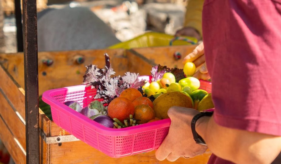 Meilleures applis marchés locaux 2026 : le guide complet